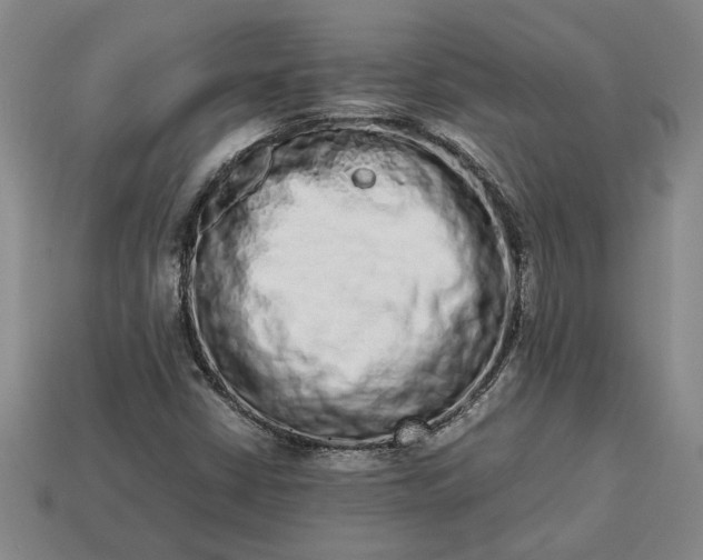 X0000113261402200909241513