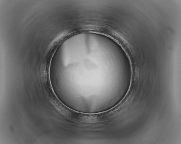 X0000113261403200909241513