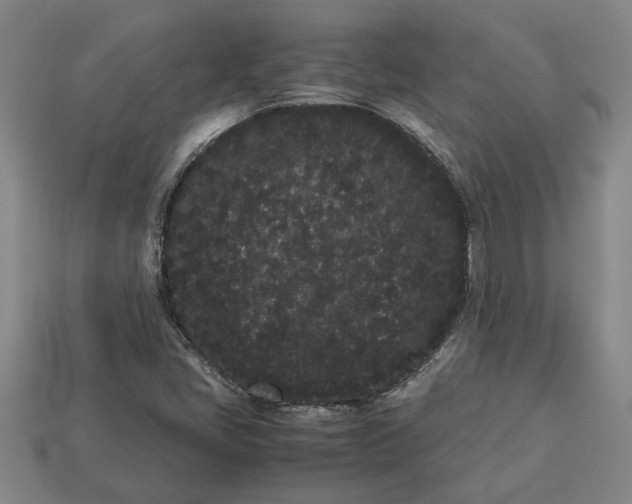 X0000113261405200909241513