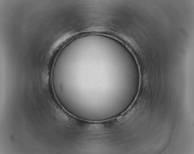 X0000113261406200909241513