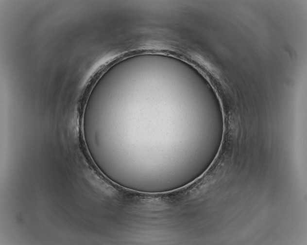 X0000113261408200909241513