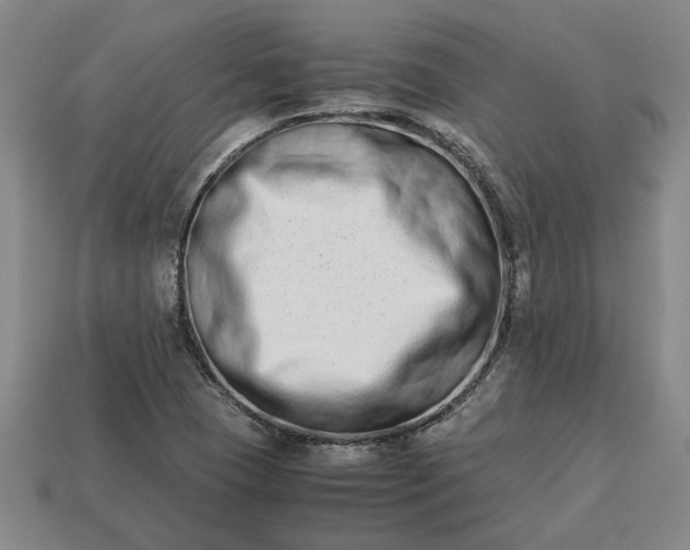 X0000113261409200909241513