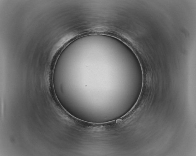 X0000113261410200909241513