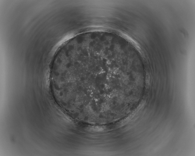 X0000113261411200909241513