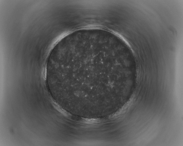 X0000113261413200909241513