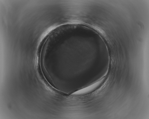 X0000113261414200909241513