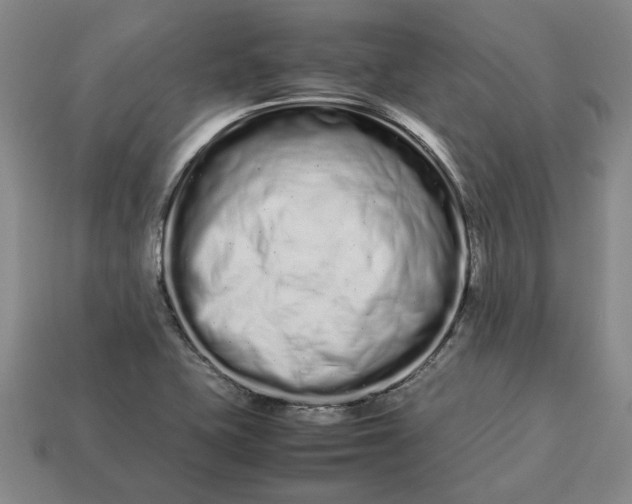 X0000113261415200909241513