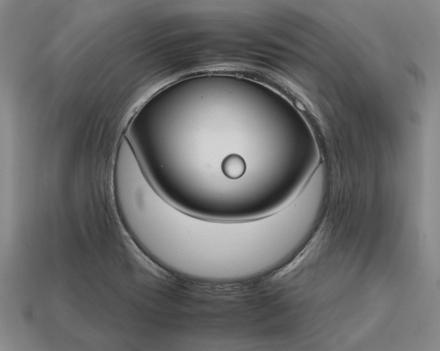 X0000113261417200909241513