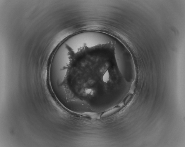 X0000113261418200909241513