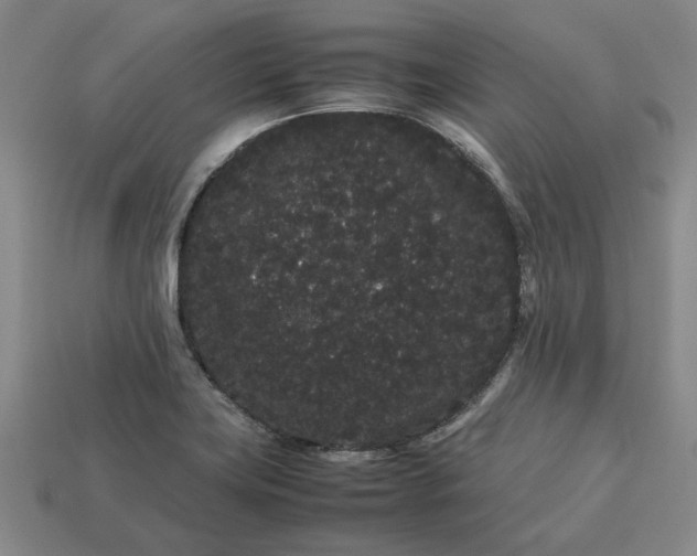 X0000113261419200909241513