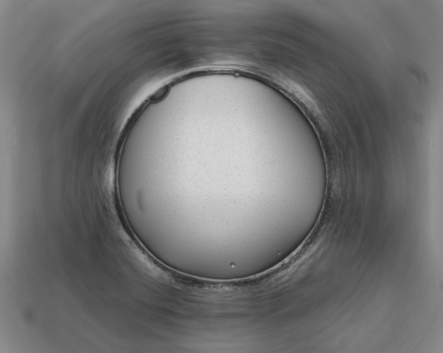 X0000113261420200909241513