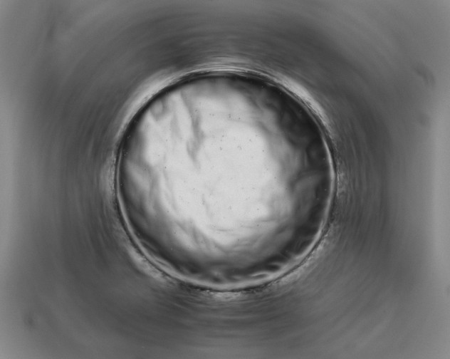 X0000113261421200909241513