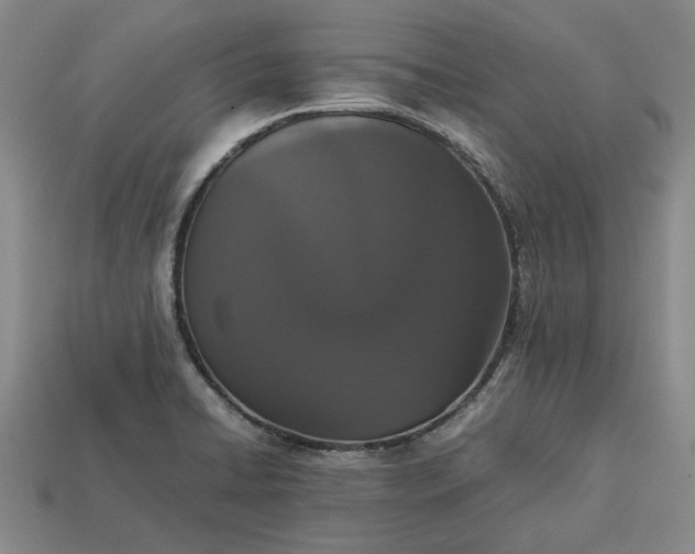 X0000113261422200909241513