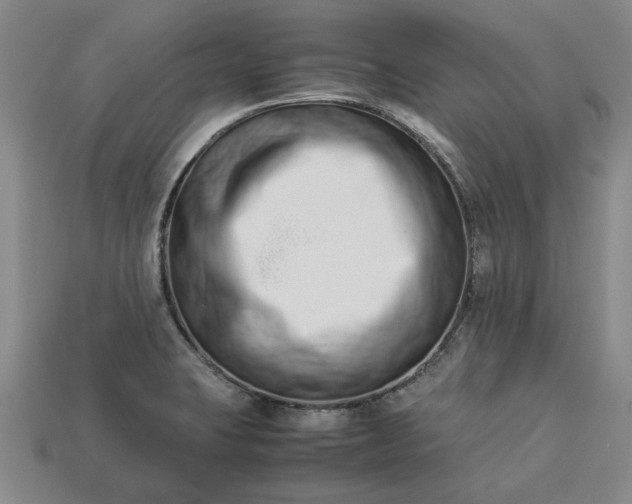 X0000113261423200909241513