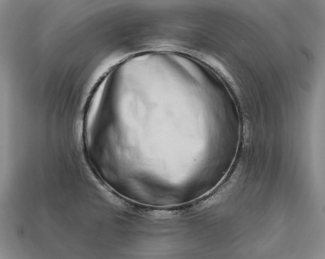 X0000113261424200909241513