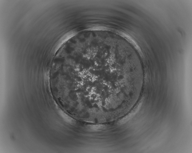 X0000113261425200909241513