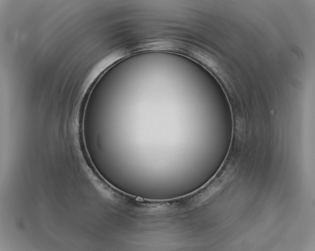 X0000113261426200909241513