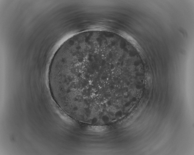 X0000113261427200909241513