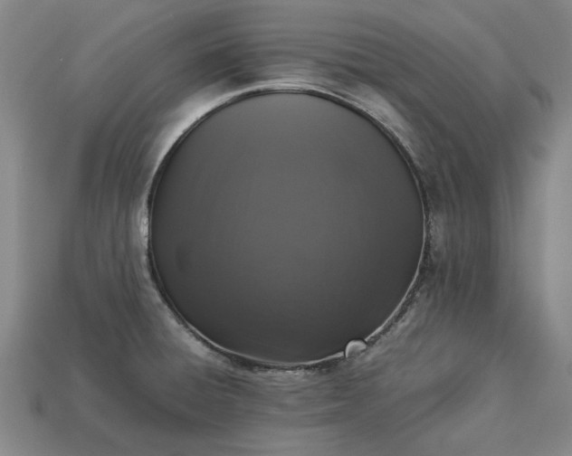 X0000113261428200909241513