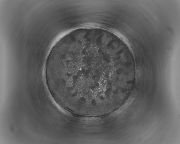 X0000113261429200909241513