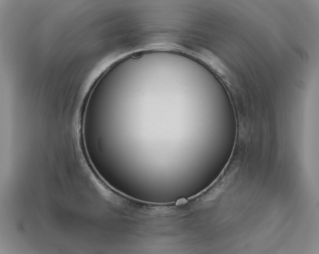 X0000113261430200909241513