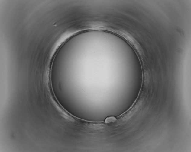 X0000113261432200909241513