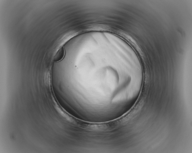 X0000113261433200909241513