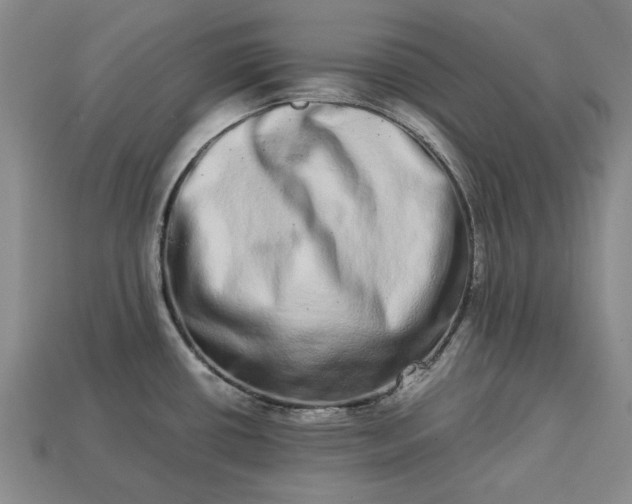 X0000113261434200909241513