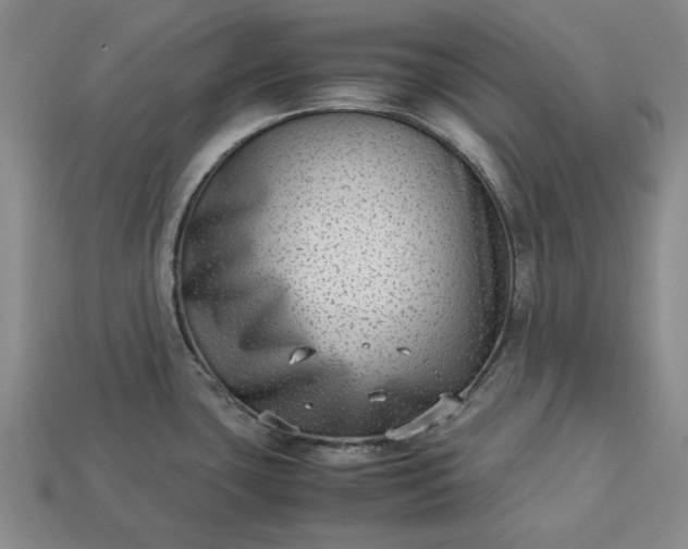 X0000113261435200909241513