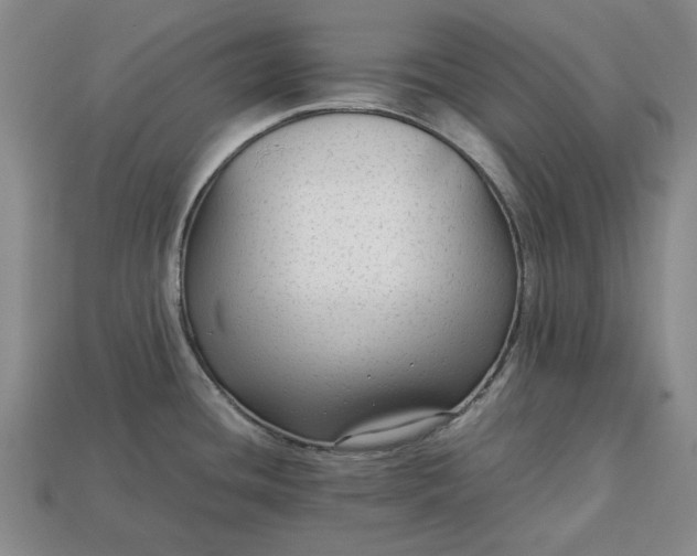 X0000113261436200909241513