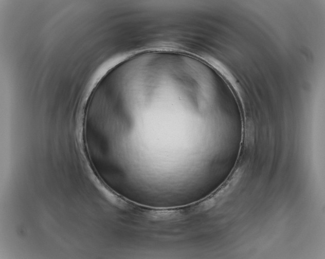 X0000113261437200909241513