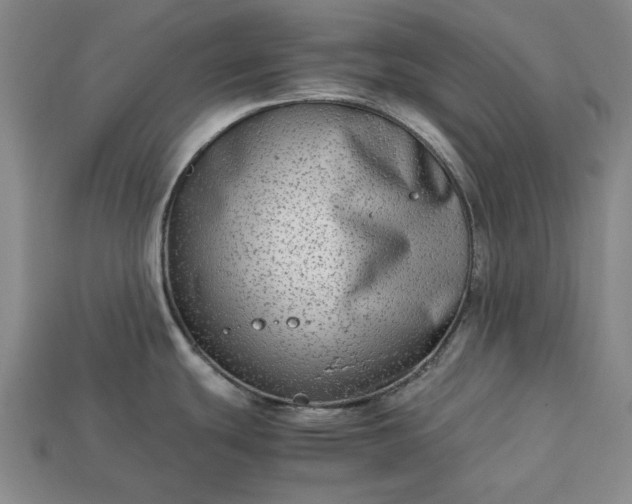 X0000113261439200909241513