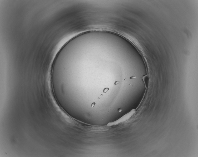 X0000113261440200909241513