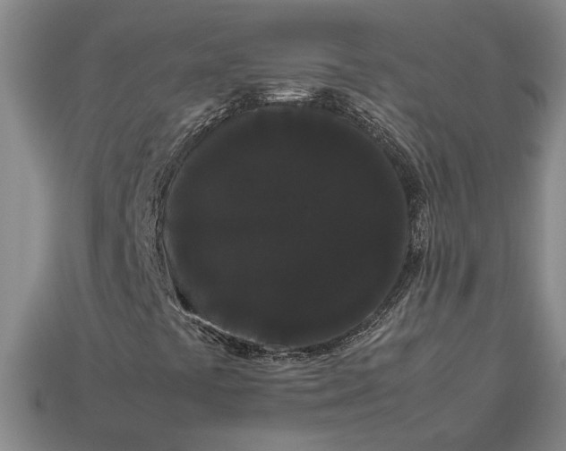 X0000113261441200909241512