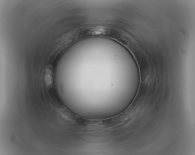 X0000113261442200909241512