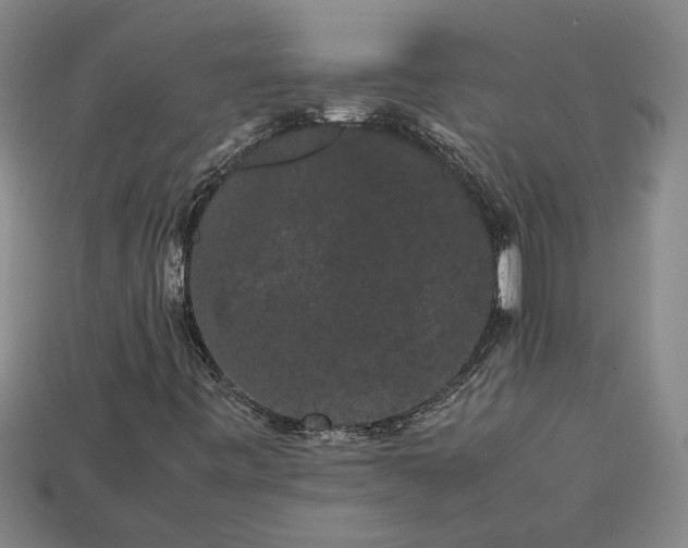 X0000113261443200909241512