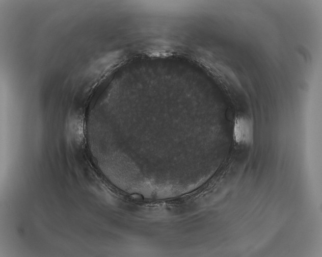 X0000113261444200909241512