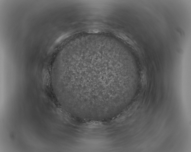 X0000113261446200909241512