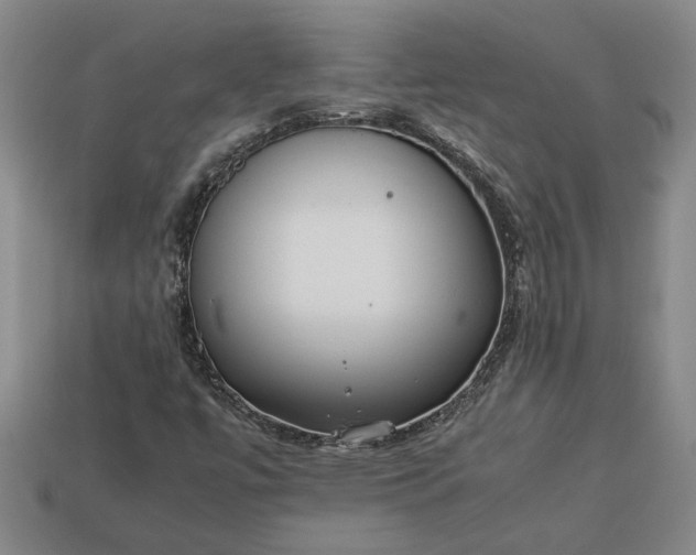 X0000113261447200909241512