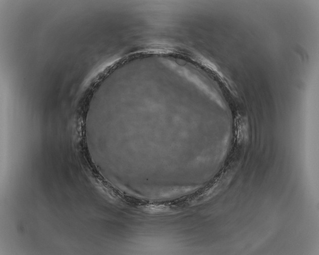 X0000113261448200909241512