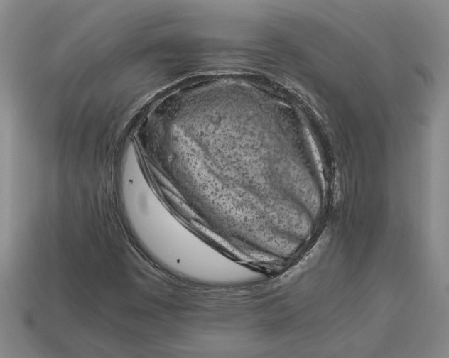 X0000113261449200909241512