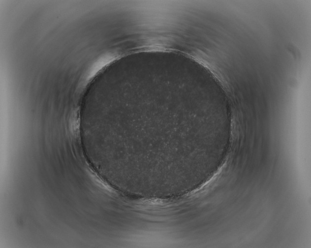 X0000113261450200909241512