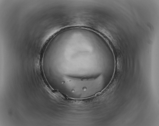 X0000113261452200909241512