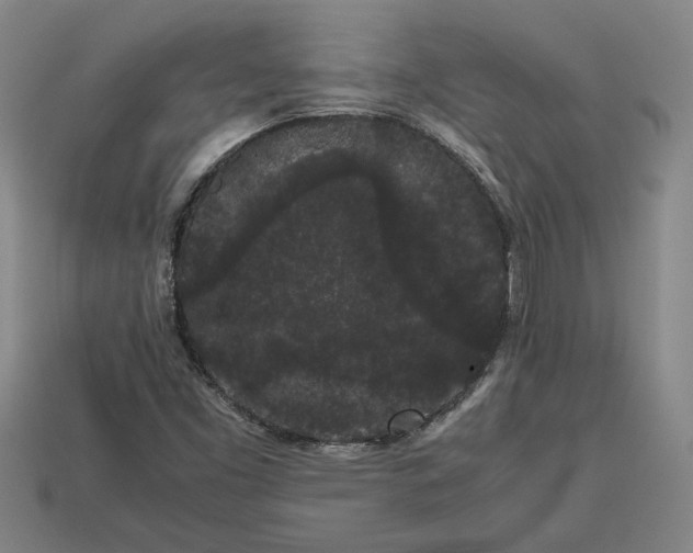 X0000113261453200909241512