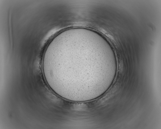 X0000113261454200909241512