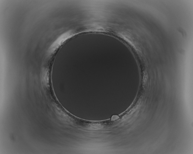 X0000113261455200909241512