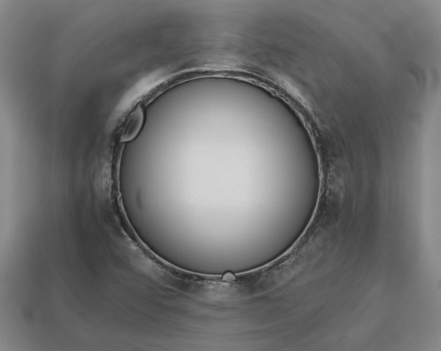 X0000113261456200909241512