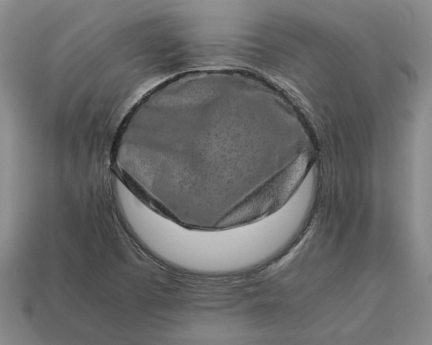 X0000113261457200909241512