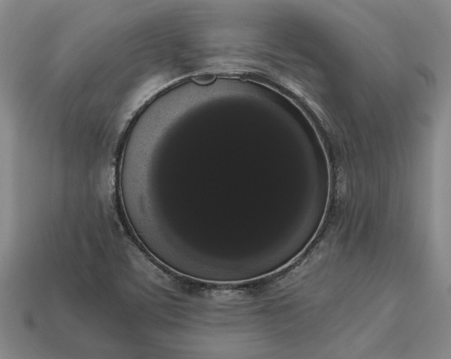 X0000113261459200909241512