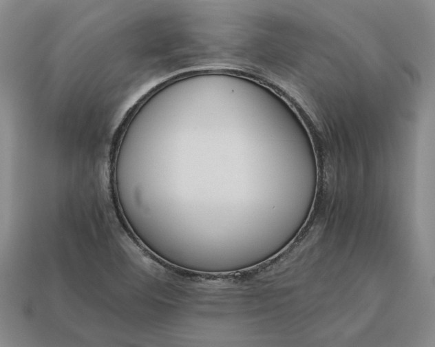 X0000113261460200909241512